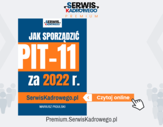 Wiedza Na Temat Jak Sporządzić PIT-11 Za 2022 Dla Kadr I Płac • Premium ...